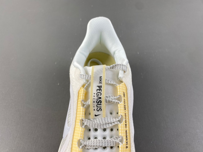 nike pegasus preM1vm 