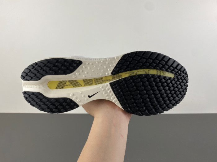 nike pegasus preM1vm 