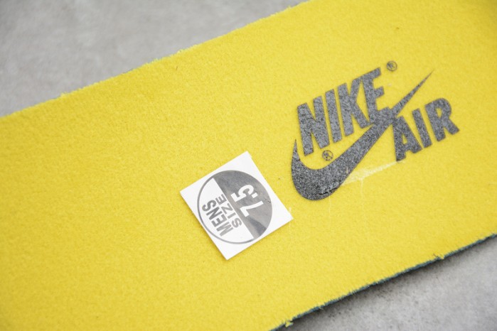 Air Jordan 1 High OG Defiant CD6579-071