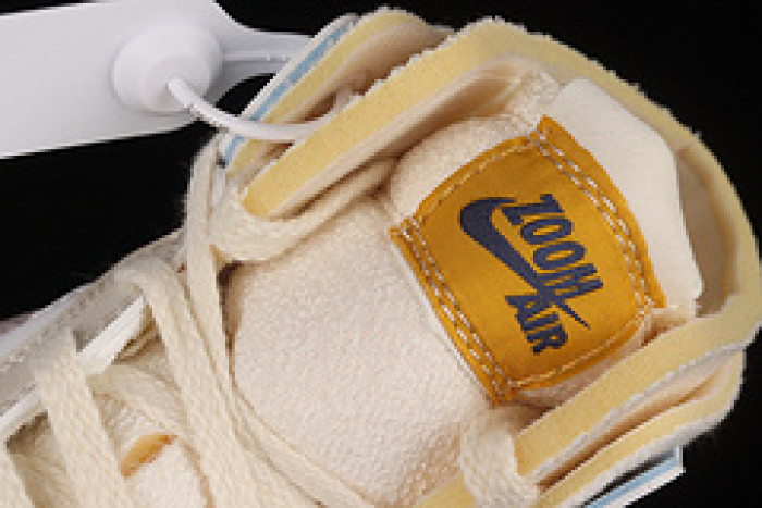 AIR JORDAN 1 HIGH ZOOM AIR CMFT PINK OXFORD DQ5092-651